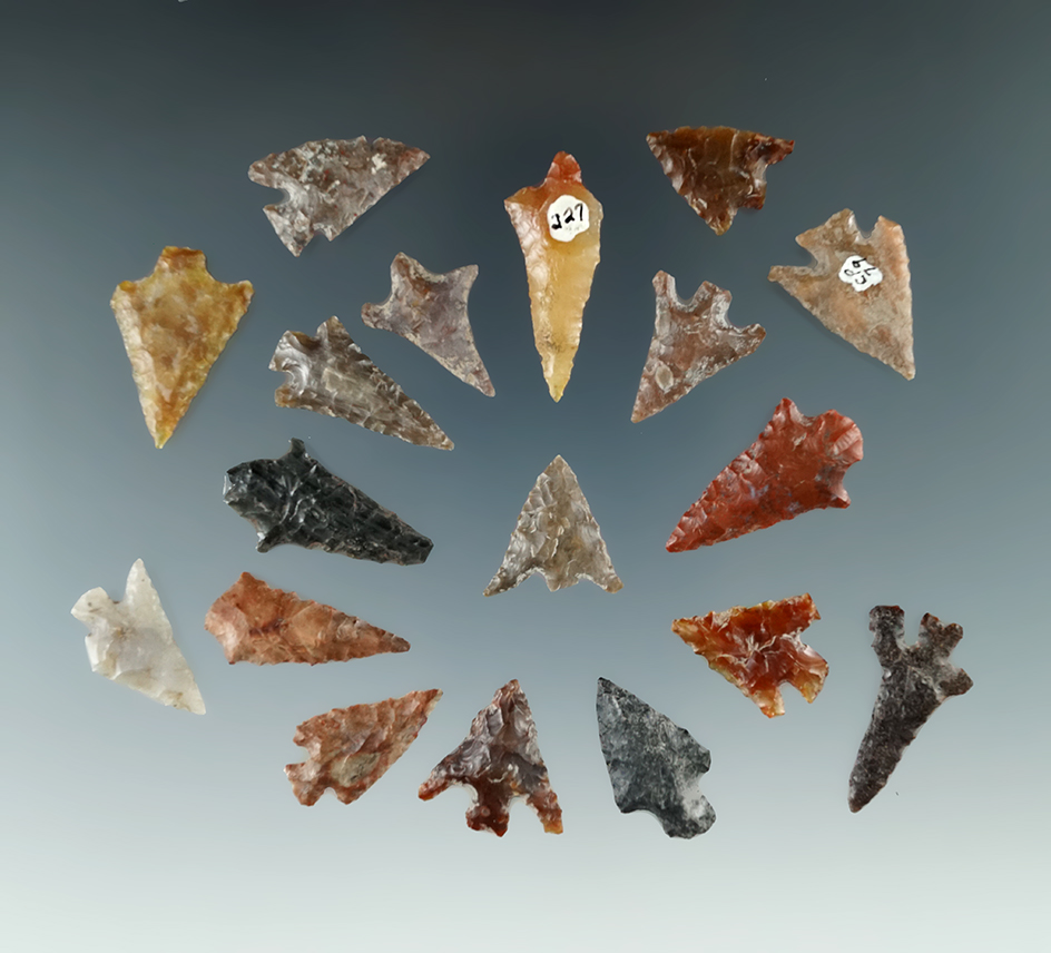 Group of 18 attractive Columbia River arrowheads found in Washington, largest is 1 1/4".