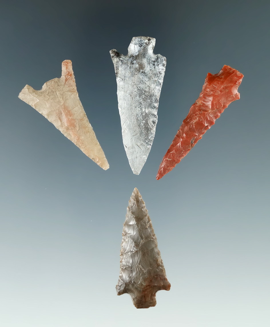 Group of four Columbia River arrowheads found by Norma Berg, largest is 1 13/16".