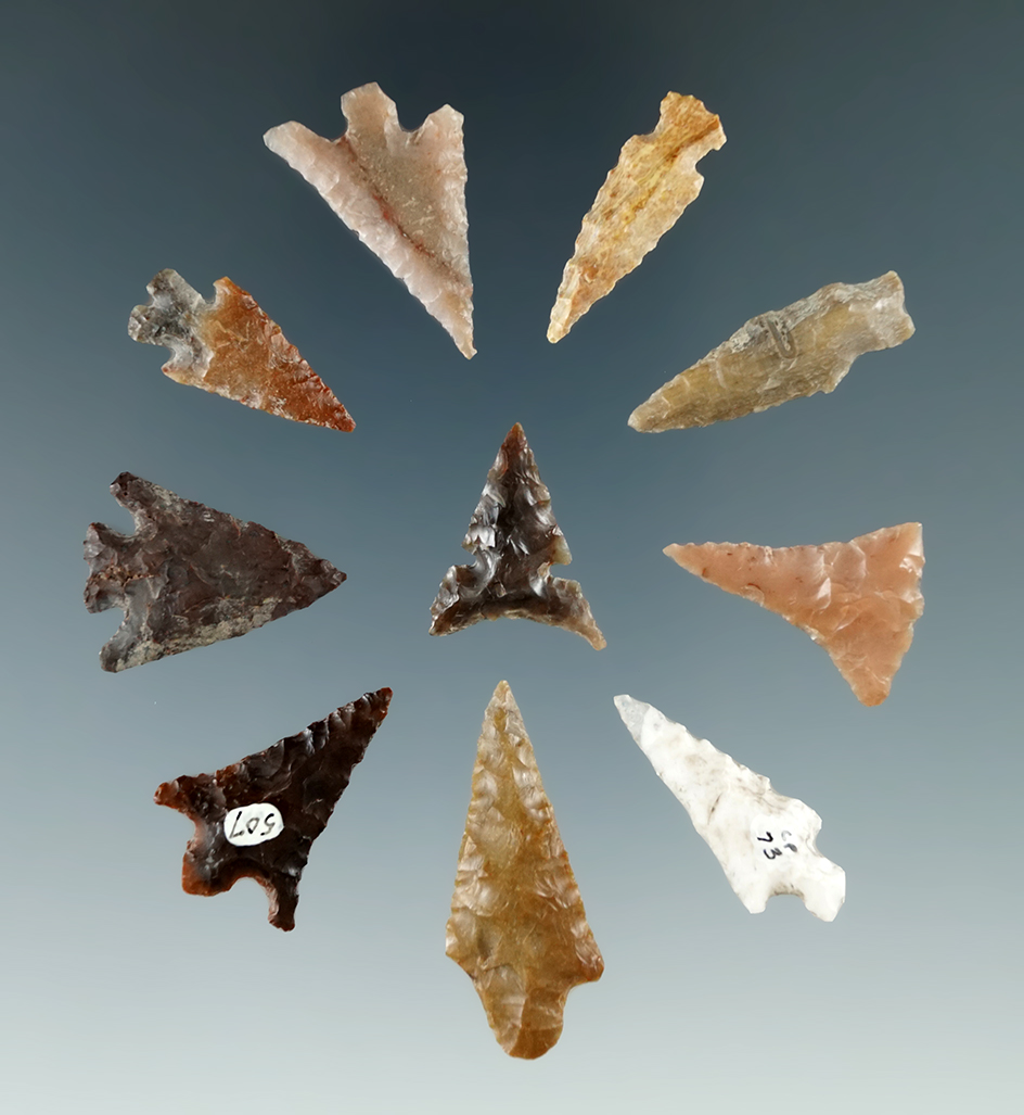 Set of 10 arrowheads found by Norma Berg near the Columbia River. Largest is 1 5/16".