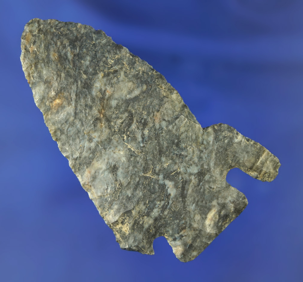 Unique ancient salvaged to the blade edge on this 2 7/8" Archaic Basal  Notch  found in Ohio.