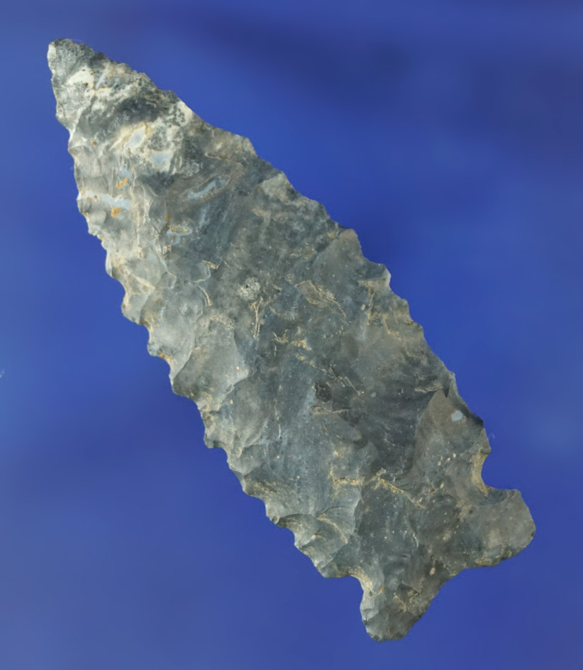 Excellent edge serrations on the Sidenotch 2 5/16" archaic dart point.