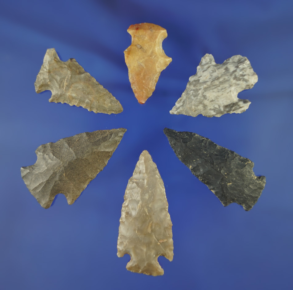 Set of six assorted Midwestern arrowheads and nice condition, largest is 1 7/8".