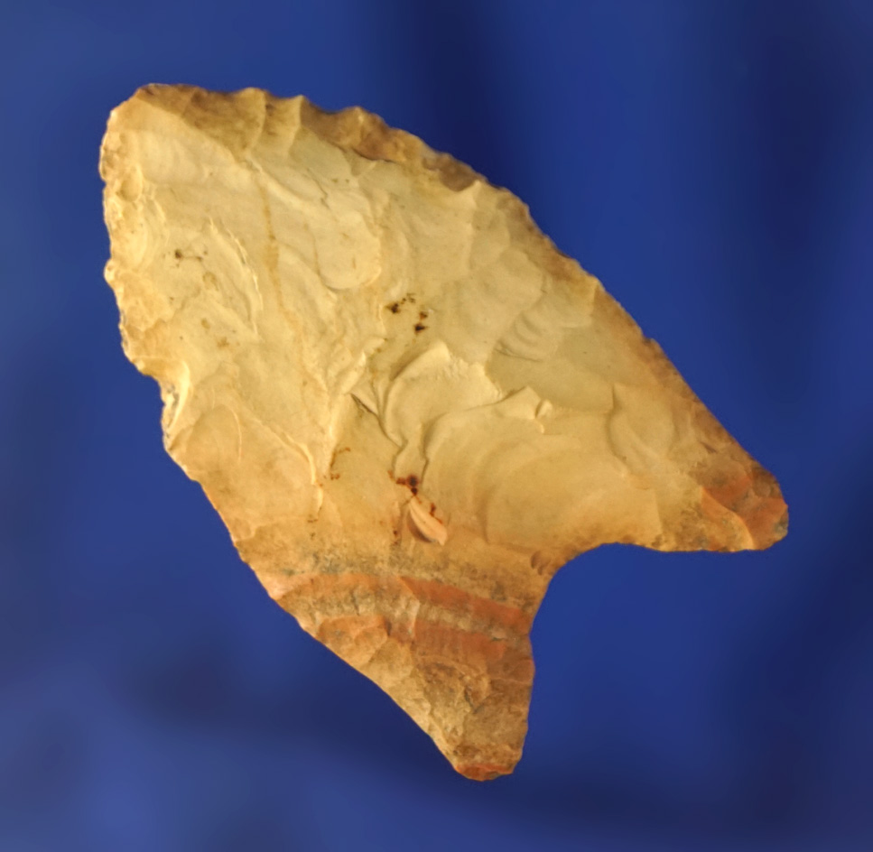 1 3/4" well styled Dalton point found in Missouri.