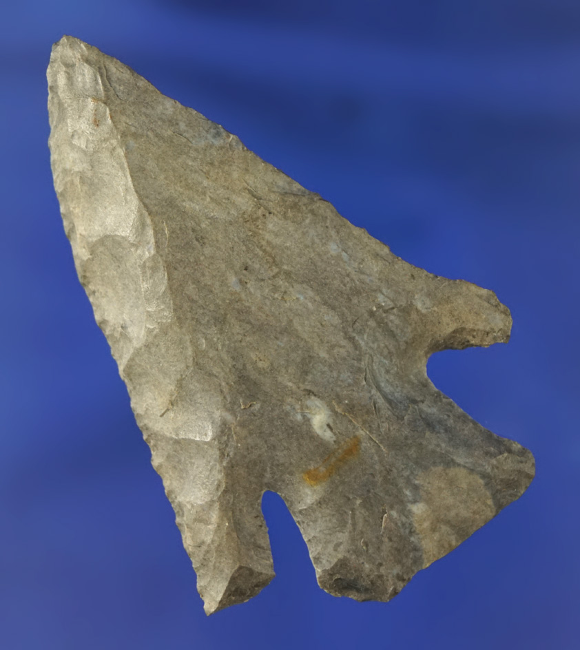 2 7/16" Archaic Bevel found in Clark County Kentucky.