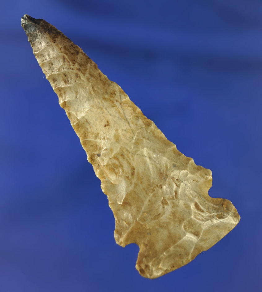 2 5/8" nicely beveled Archaic Sidenotch found in southern Ohio.