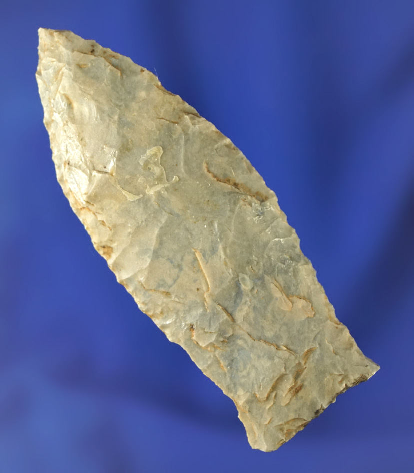 2 9/16" Paleo Beaver Lake found in Logan County Kentucky. Comes with a Dickey COA.