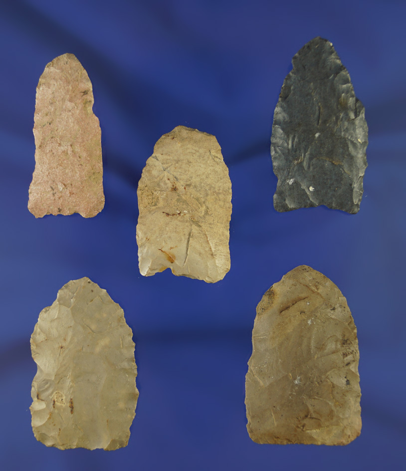 Set of five lanceolate points found in Kentucky, a couple are Paleo. Largest is 1 3/4".