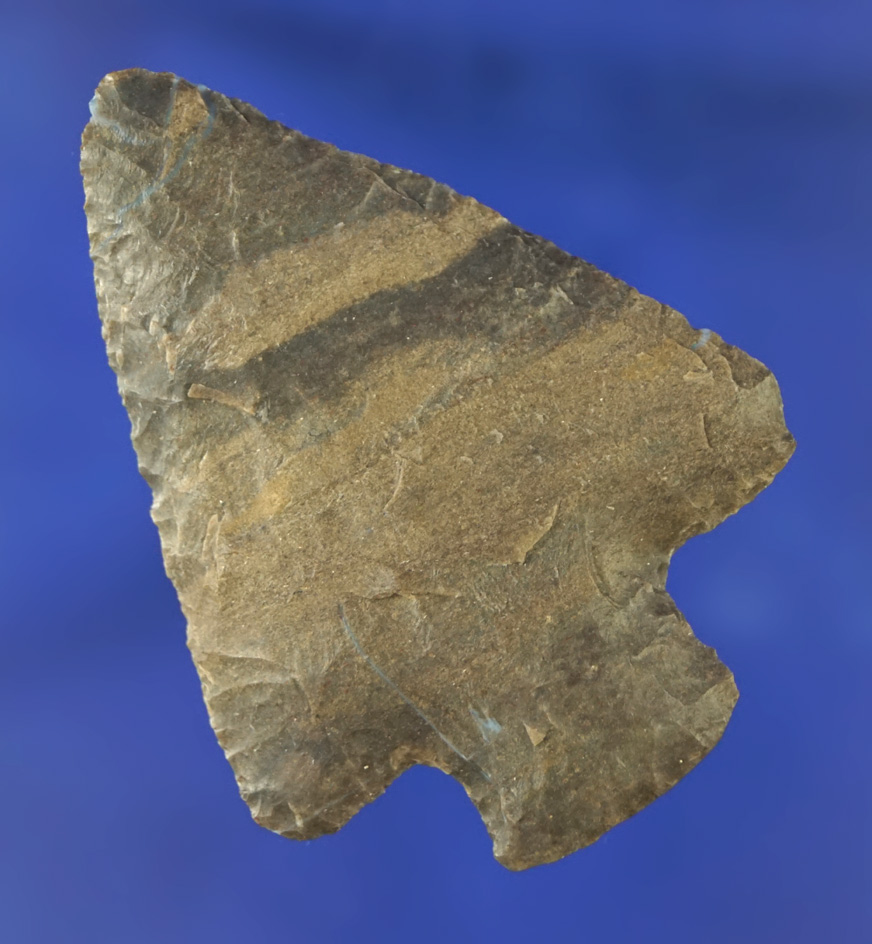 Excellent flaking on this 2 1/8" Cotaco Creek found in Kentucky.