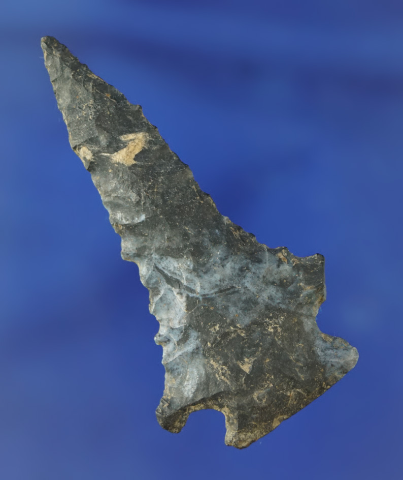 2 5/16" Coshocton Flint Pinetree point found in Ohio.