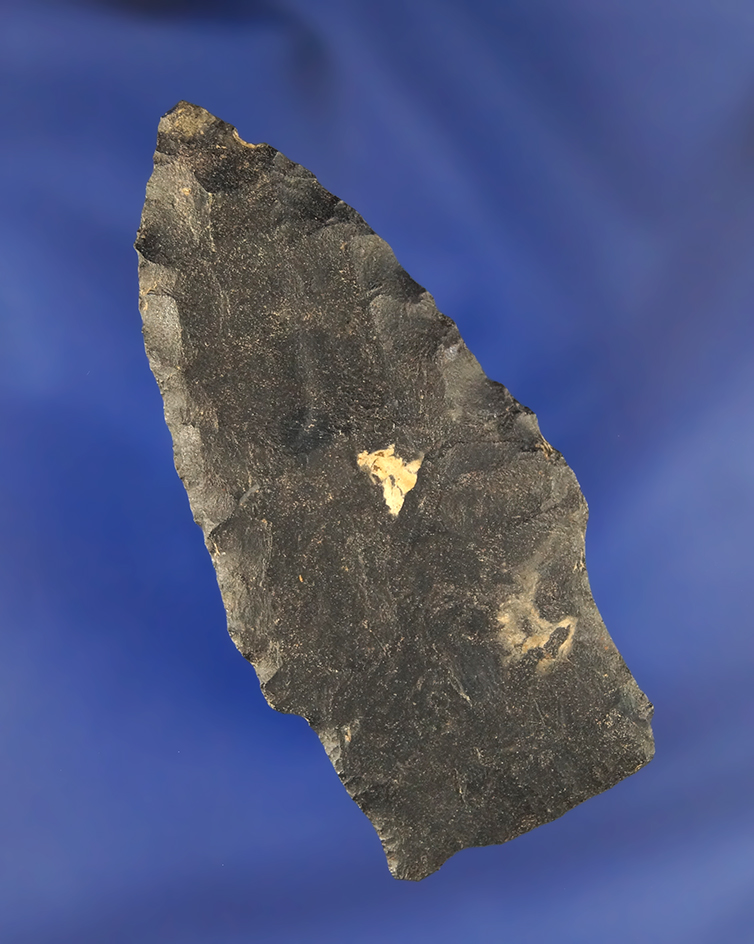 2 1/2" Paleo Stemmed Lance made from Coshocton Flint found in Harding Co., Ohio.
