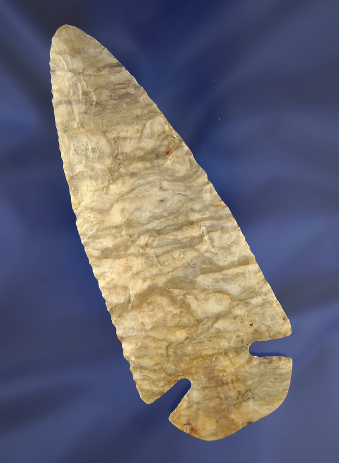 5" Large Base Dovetail found in Darke Co., Ohio. Restoration to the tip.