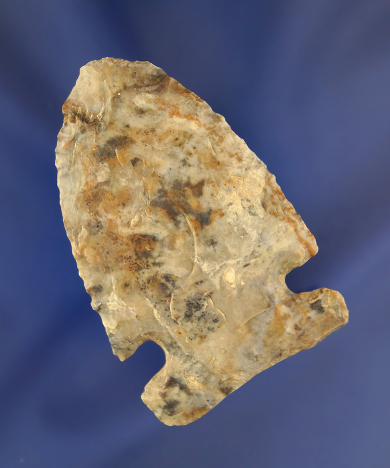 2 3/8" Flint Ridge Flint Big Sandy. Found in northern Ashland Co., Ohio.