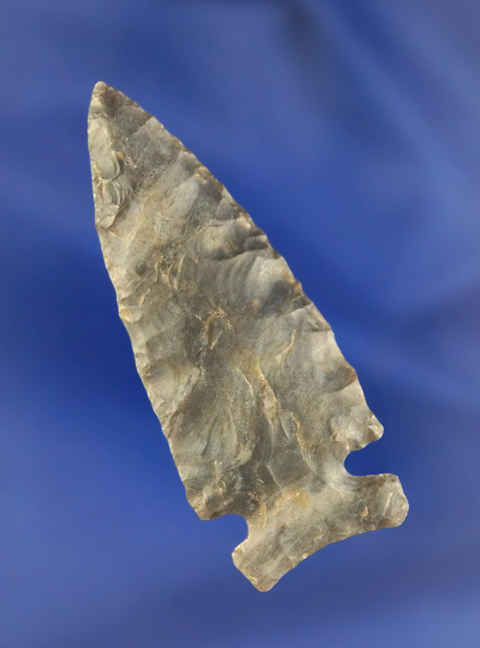 2 1/4" Coshocton Intrusive Mound Point, thin and fine! Found in Stark Co., Ohio.