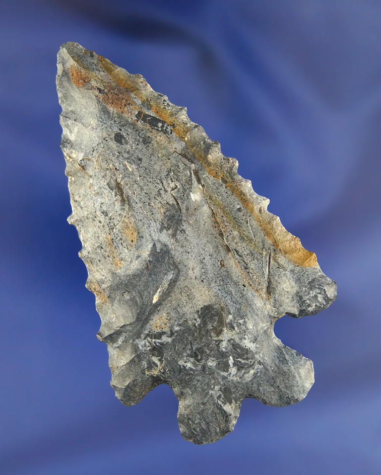 3 1/8" Mulit-colored Coshocton Bifurcate found in Perry Co., Ohio.