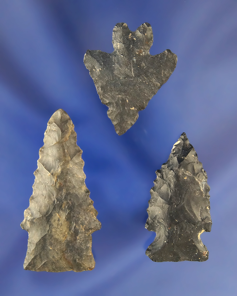 Set of 3 Coshocton Flint Dart Points, largest is 1 7/8". Found in  Ashland Co., Ohio.