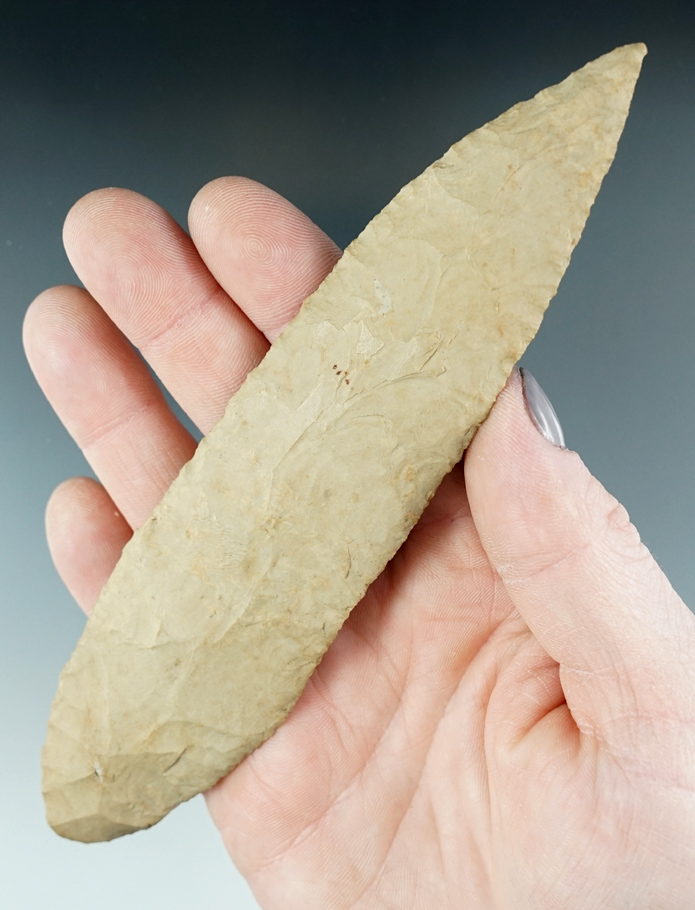 Excellent flaking and style 6 1/2" Archaic Knife found in Dixon Co., Tennessee.  Dickey COA.