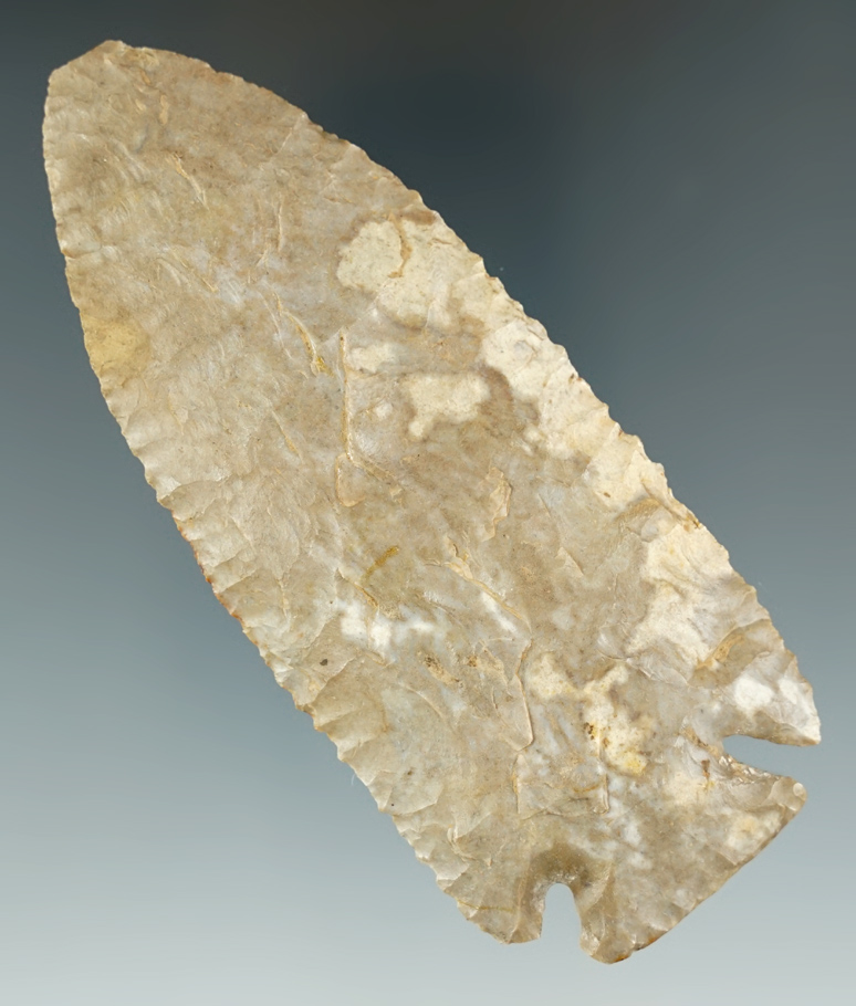 4 1/8" Nicely serrated Dovetail made from Fort Payne Chert, found in Kentucky.