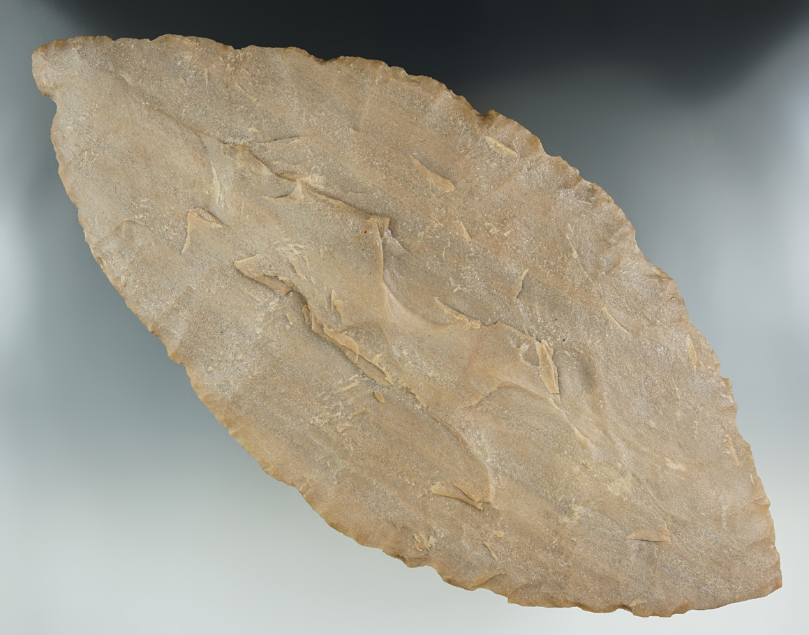 Sale highlight! Simply massive 11 7/8" Thin and well-flaked biface Archaic Blade - Carter Cave Flint