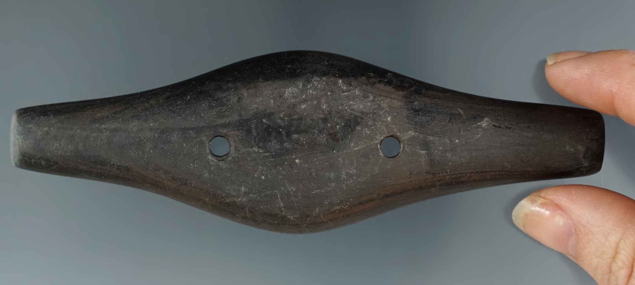 4 3/4" Adena Expanded Center Gorget made from Slate found in Portage Co., Ohio.