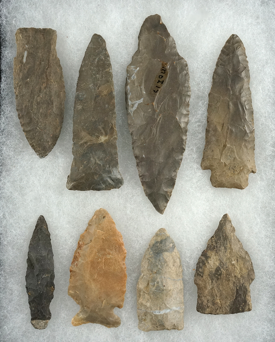 Eight Kentucky arrowheads, largest is 4 1/8".