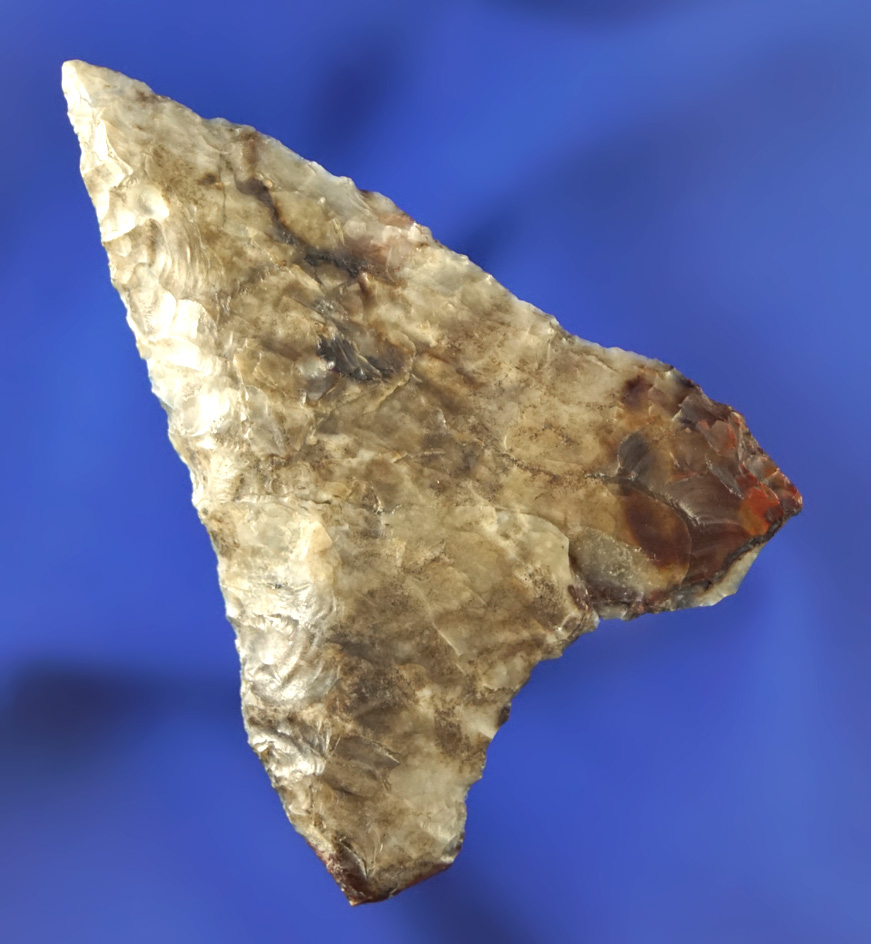 2 1/8" Columbia Mule Ear found near the Columbia River made from attractive multicolored material.