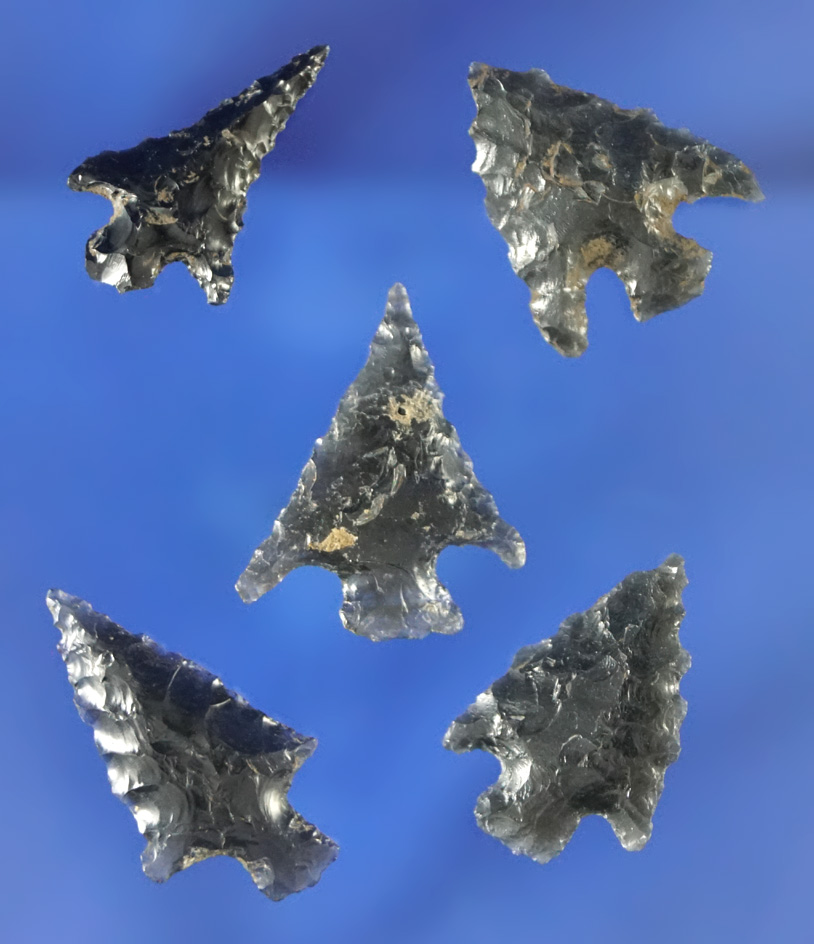 Set of five obsidian arrowheads found in Oregon in very good condition, largest is 15/16".