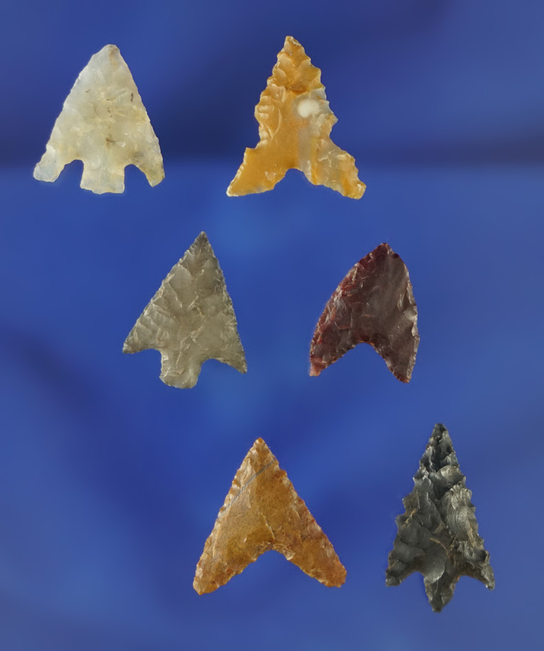 Set of six Columbia River arrowheads in very good condition, largest is 13/16".
