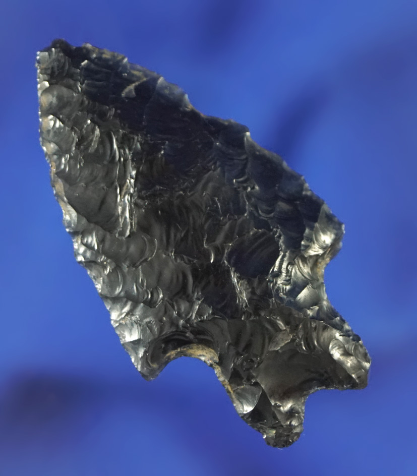 1 3/4" Paleo Windust made from obsidian found in Oregon.
