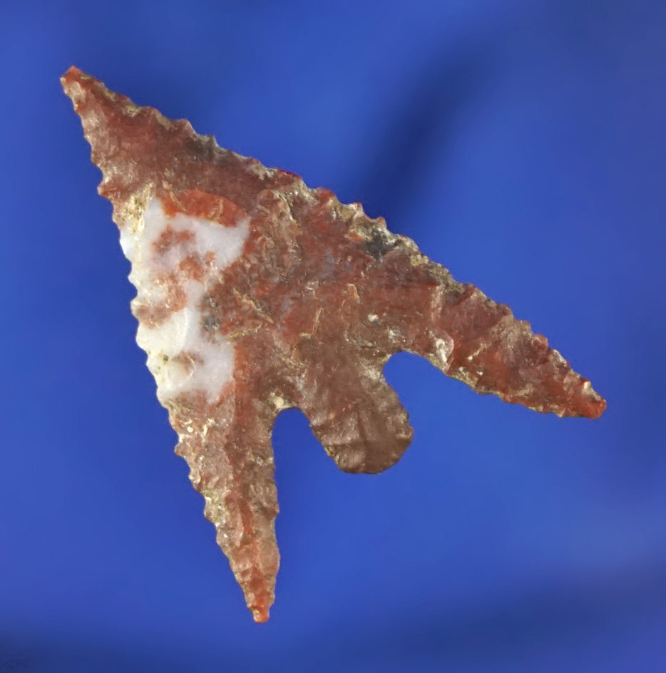 1 3/16" Gunther with nice long Barbs found in southern Oregon.