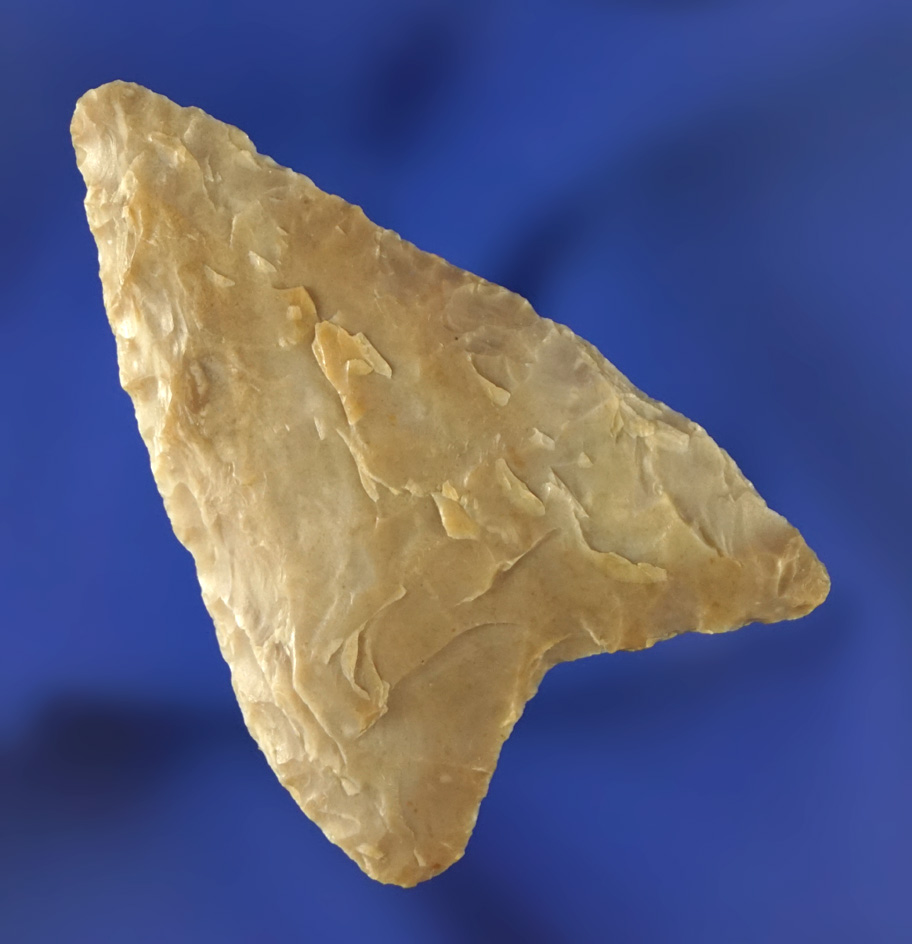 1 15/16" Columbia Mule Ear found near the mouth of the John Day River near Gilliam County Oregon