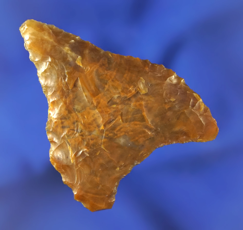 1 7/8" Columbia Mule Ear found near the Columbia River. Ex. John Cockrell, Fred Van Ronk collections