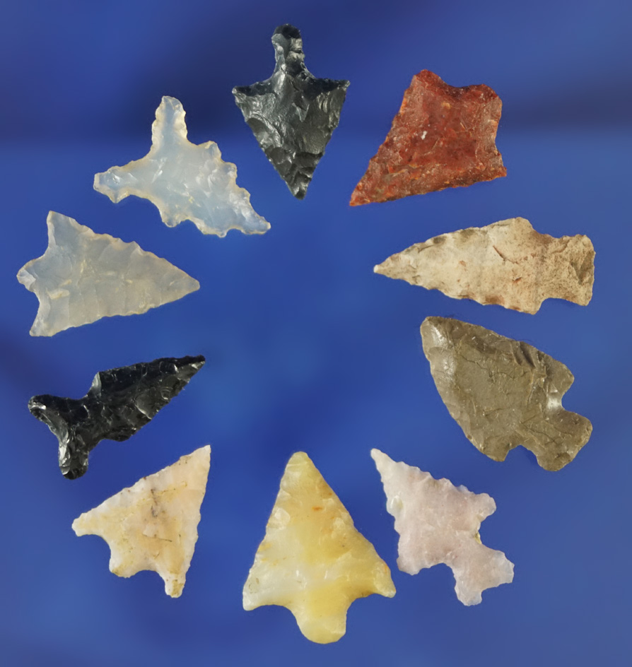 Set of 10 assorted bird points found in the western US and nice condition, largest is 13/16".