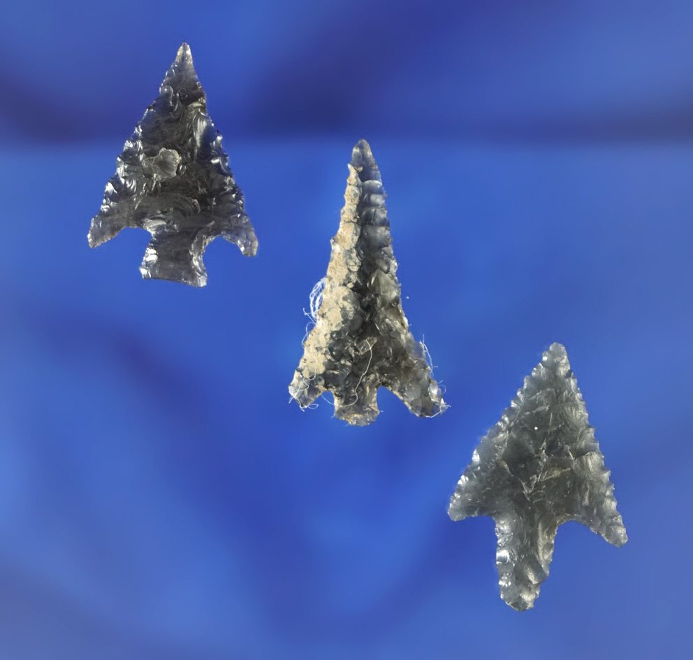 Set of three obsidian arrowheads found near the Columbia River in very good condition.