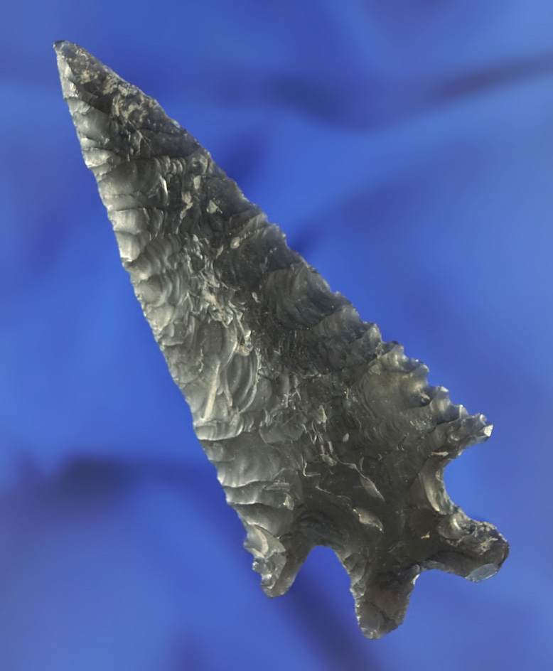 Excellent serrations on this 3 1/4" Obsidian Knife found near Crump Lake, Oregon. Ex. Terry Josephso