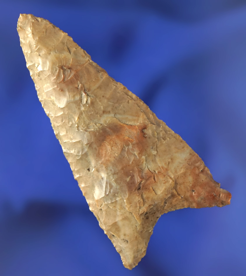 Well styled 2 7/16" Columbia Mule Ear found near the Dalles by the Columbia River. Ex. Lloyd McLeod-