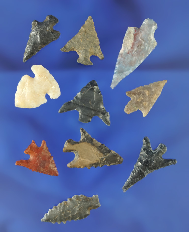 Set of 10 arrowheads found near the Columbia River, largest is 1 3/16". All are in very nice conditi