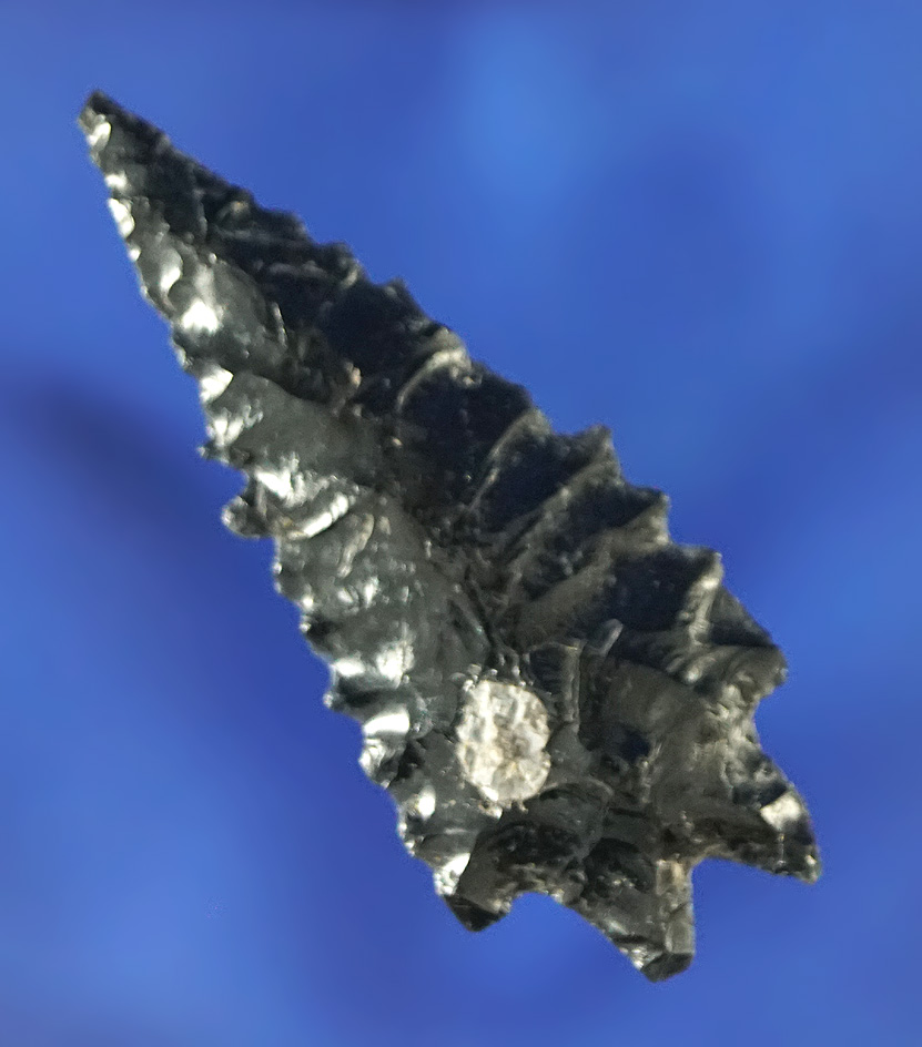 Excellent style and flaking on this 1 3/4" obsidian Pinto Basin found in Oregon.