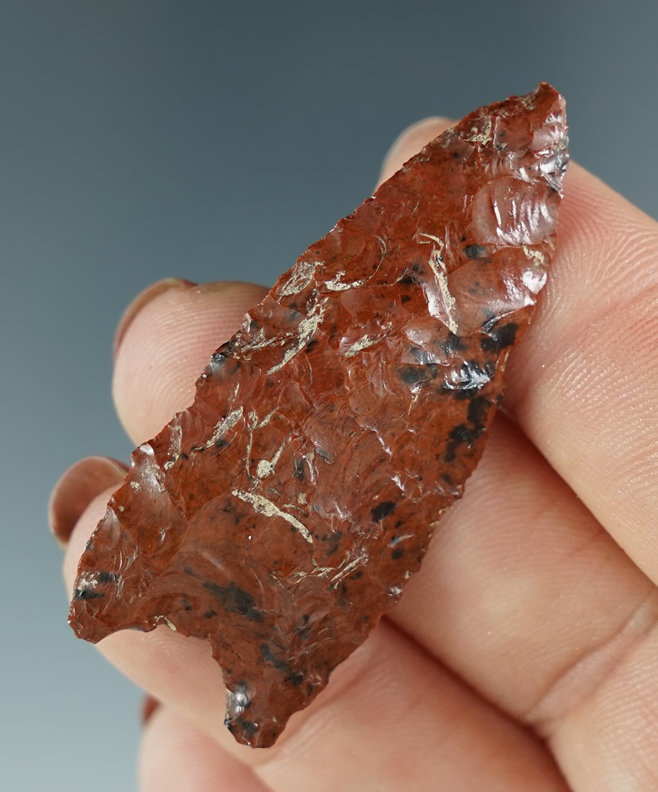 Rare and nice! 1 15/16" Paleo Clovis - fluted on both sides -attractive mahogany Obsidian - Oregon.