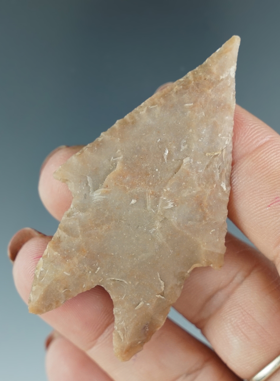 2 1/2" Pedernales Point found in Texas with excellent style and a needle tip.