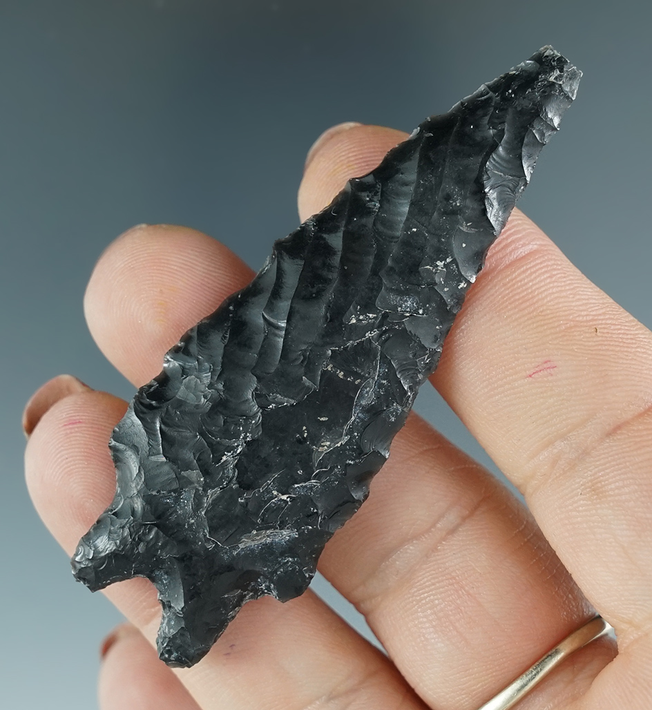 2 11/16" Pinto Basin with beautiful flaking found in Oregon.