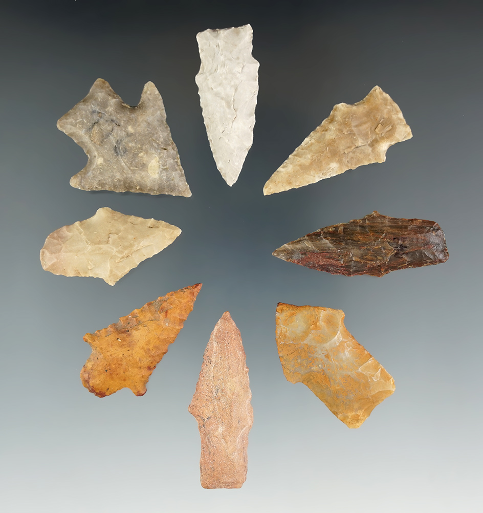 Nice Group of eight assorted points found in Texas, largest is 1 13/16".