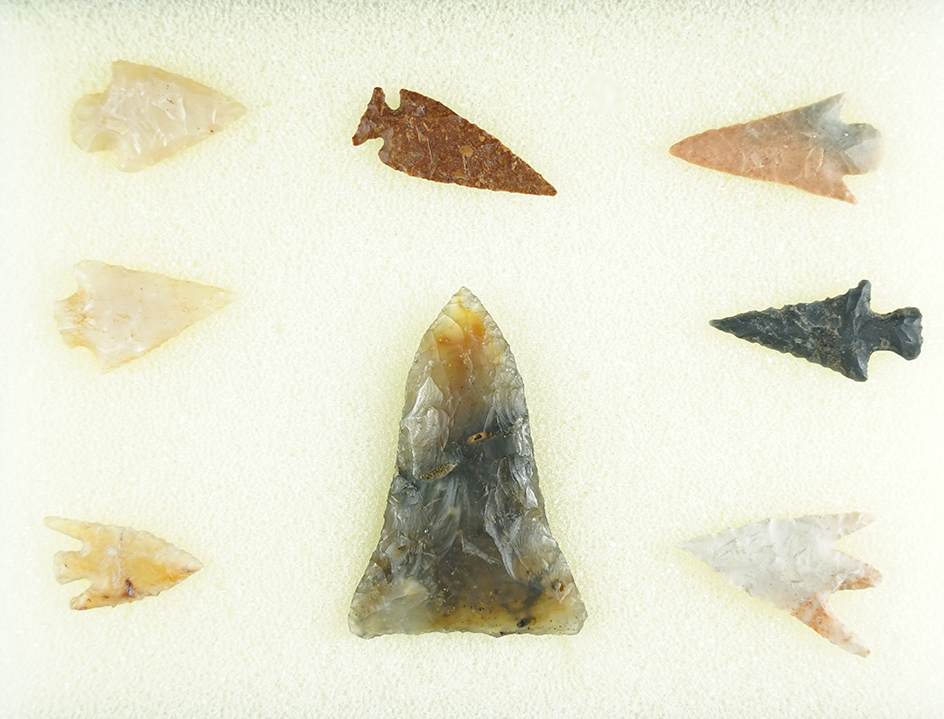 Set of eight nice Columbia River Points, largest is 1 5/8".