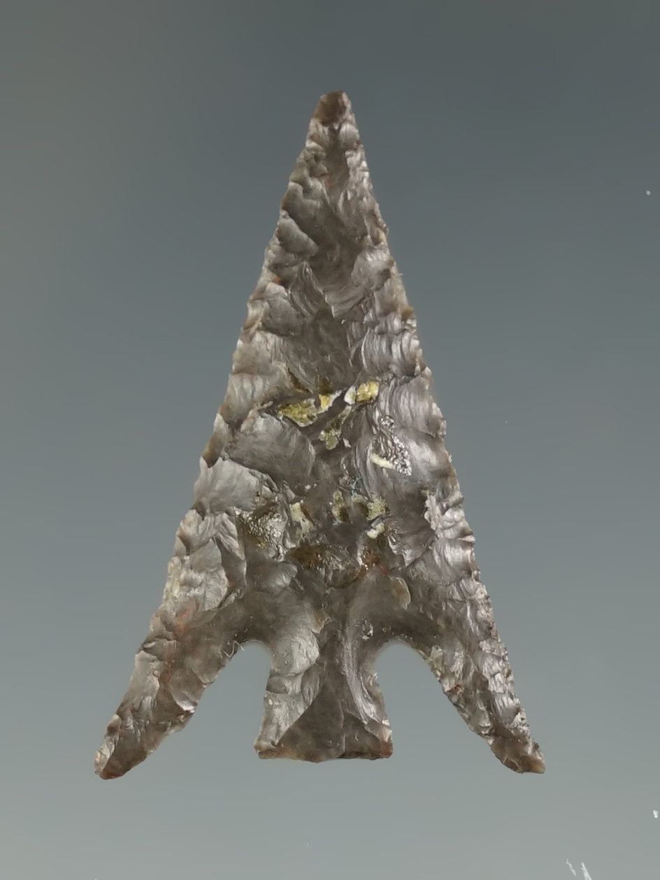 Classic style 1 3/16" Columbia Plateau with exquisite flaking in excellent condition.