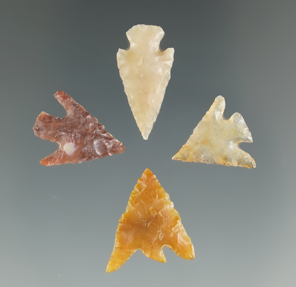 Set of four attractive Columbia River Gem points in excellent condition. Largest is 7/8".