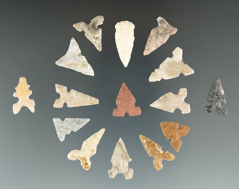 Large group of 15 assorted points found in Texas, largest is 7/8".