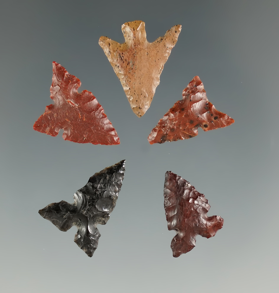 Set of five assorted Columbia River points, largest is 3/4".
