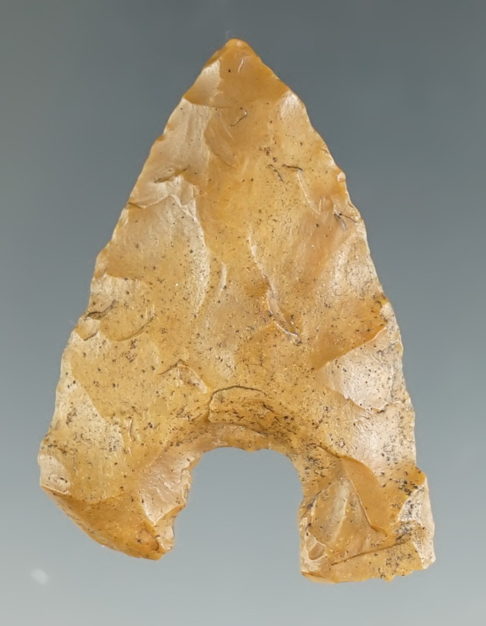 Rare style! 1 5/8" Notch based Projectile Point found in Egypt.