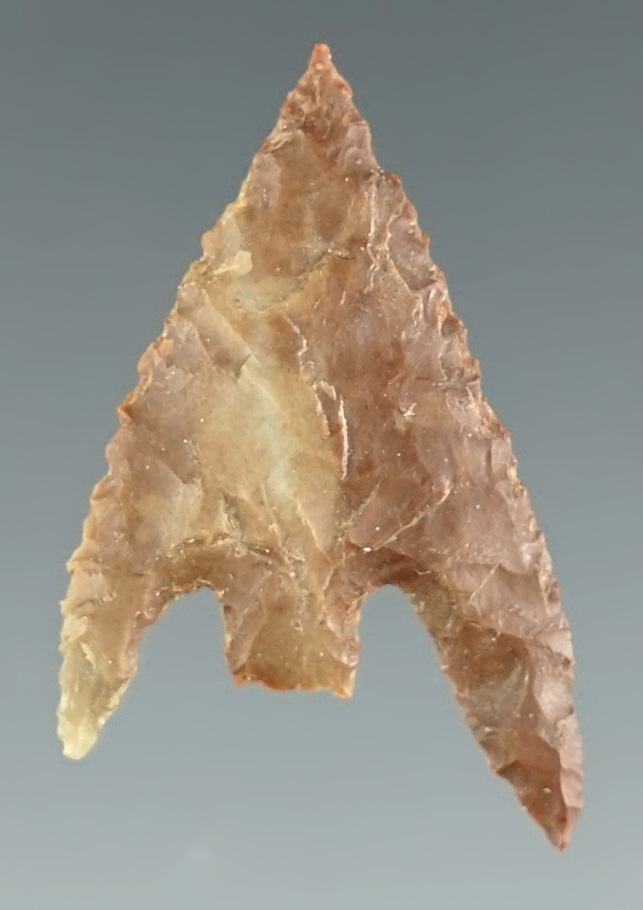 1 1/8" Gunther made from dark brown Jasper. Found in Coos Co., Oregon. Ex. Buckingham, Hogue