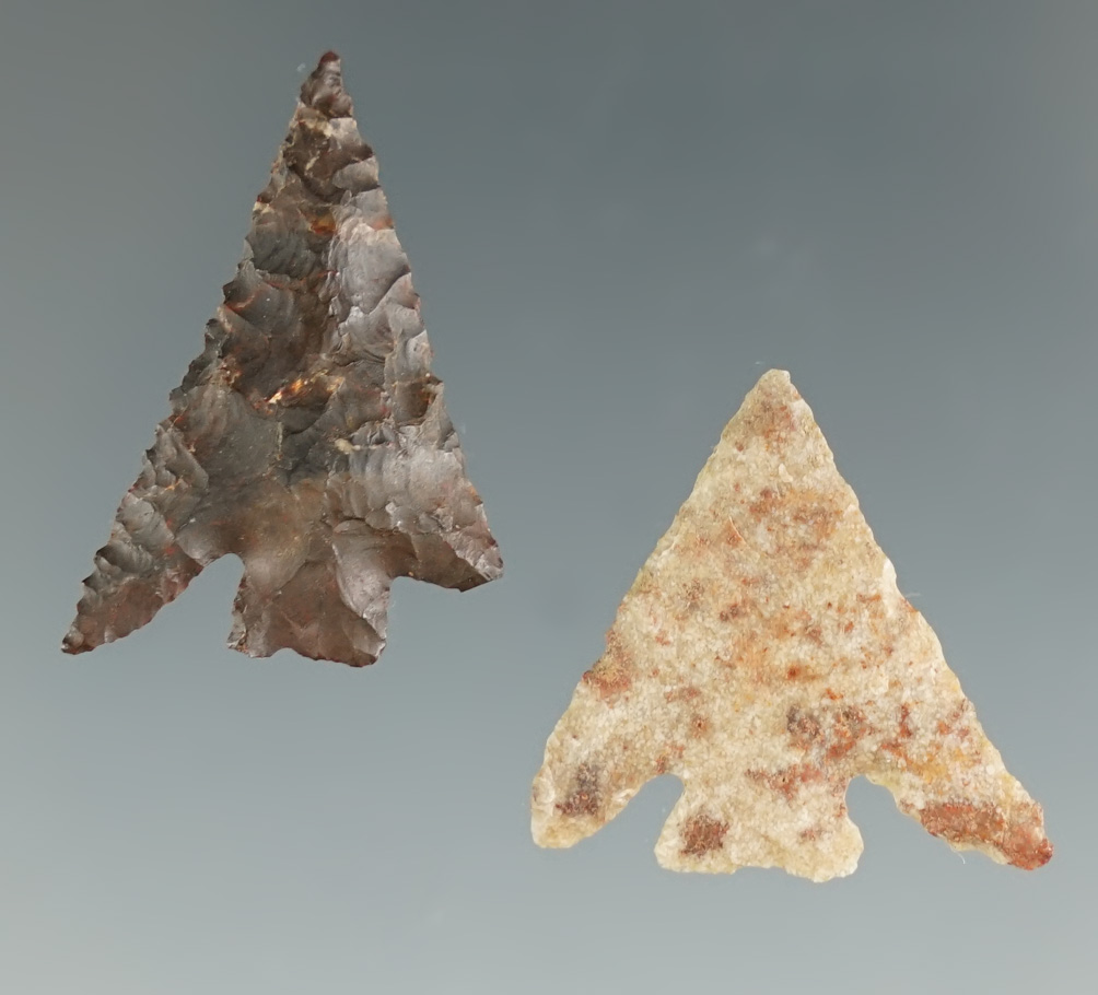Pair of Columbia Plateau Points found in Washington. Largest is 1 1/16".