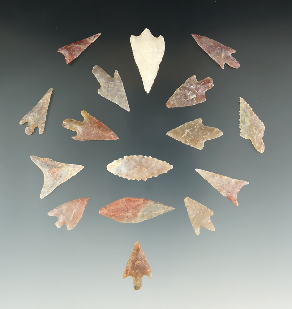 16 nicely flaked Neolithic points found in the northern Sahara region of Africa. Largest is 13/8".